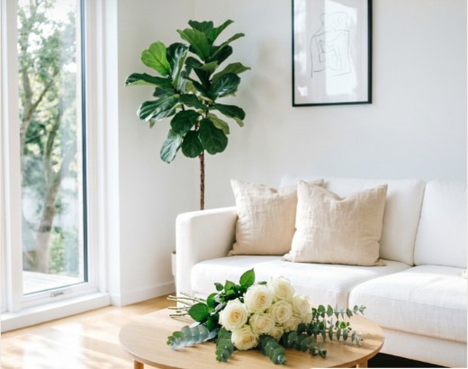 Bright premium living room after a professional house cleaning